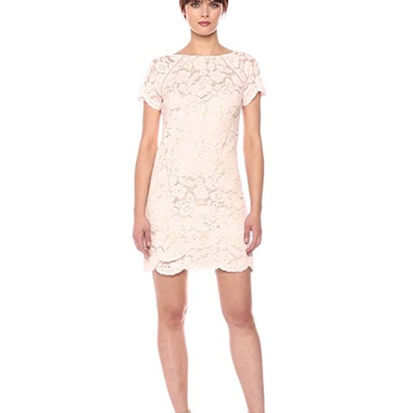 vince camuto lace shift dress Vince Camuto Petite Jewel-Neck Lace Shift Dress
